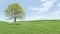 header-baum-16-9-1920x1080px.jpg